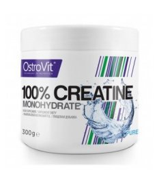 OstroVit CREATINE 500 гр