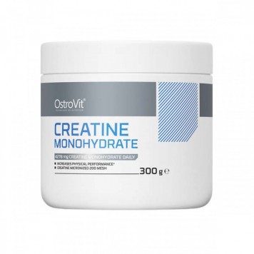 OstroVit CREATINE 300 гр-1