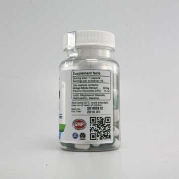 WestPharm Ginkgo Biloba 60 капс-1